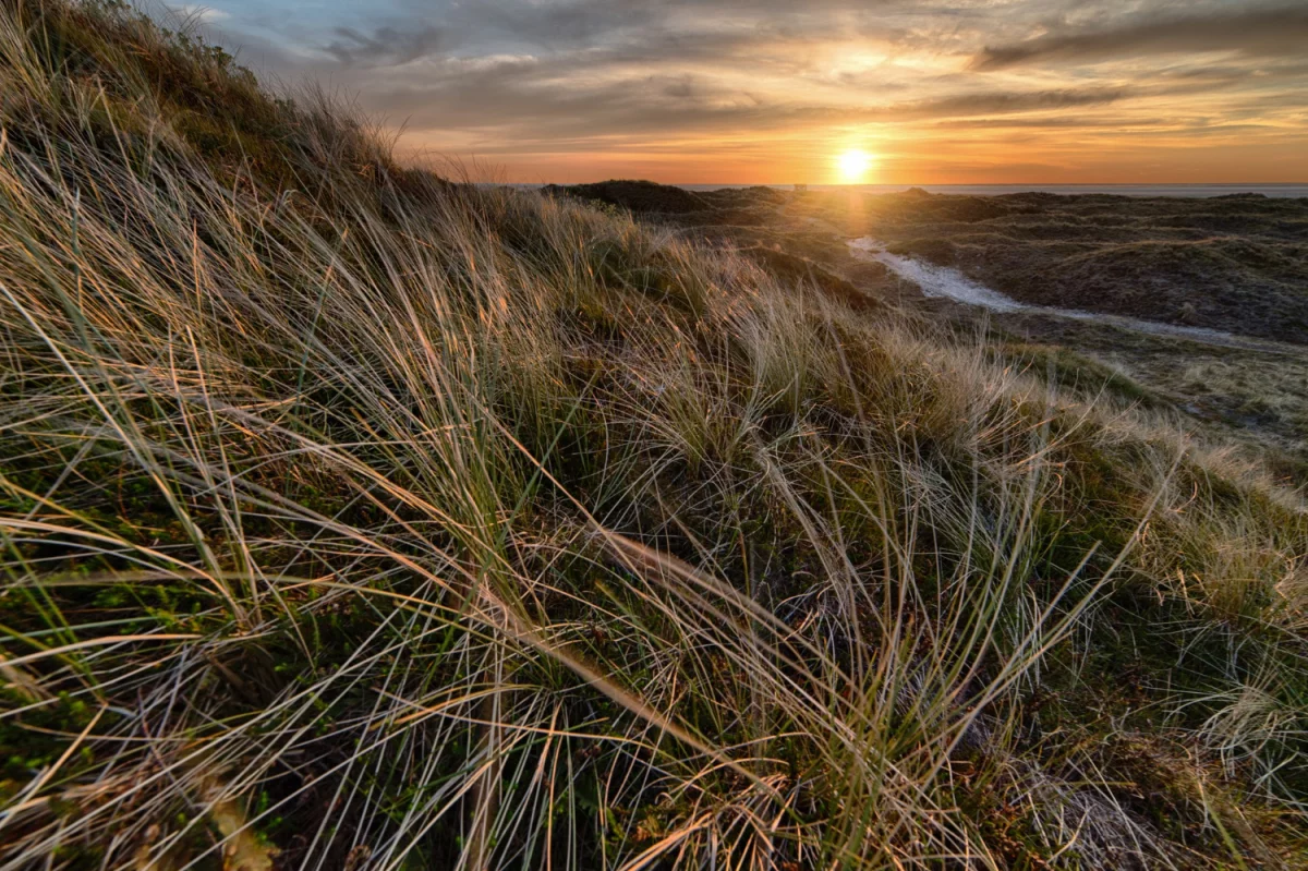 Szukam sposóbów jak czytać prawo
